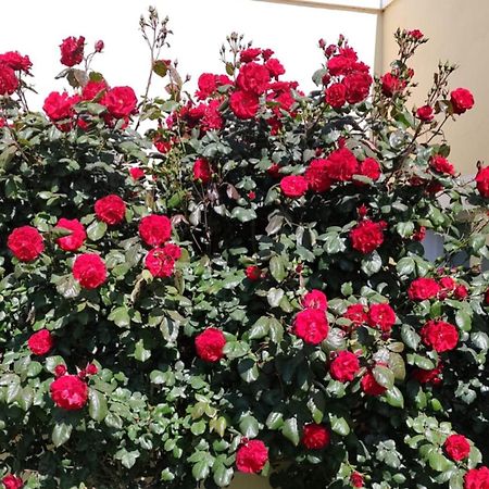 Mil Rosas 호텔 라스 그루타스 외부 사진